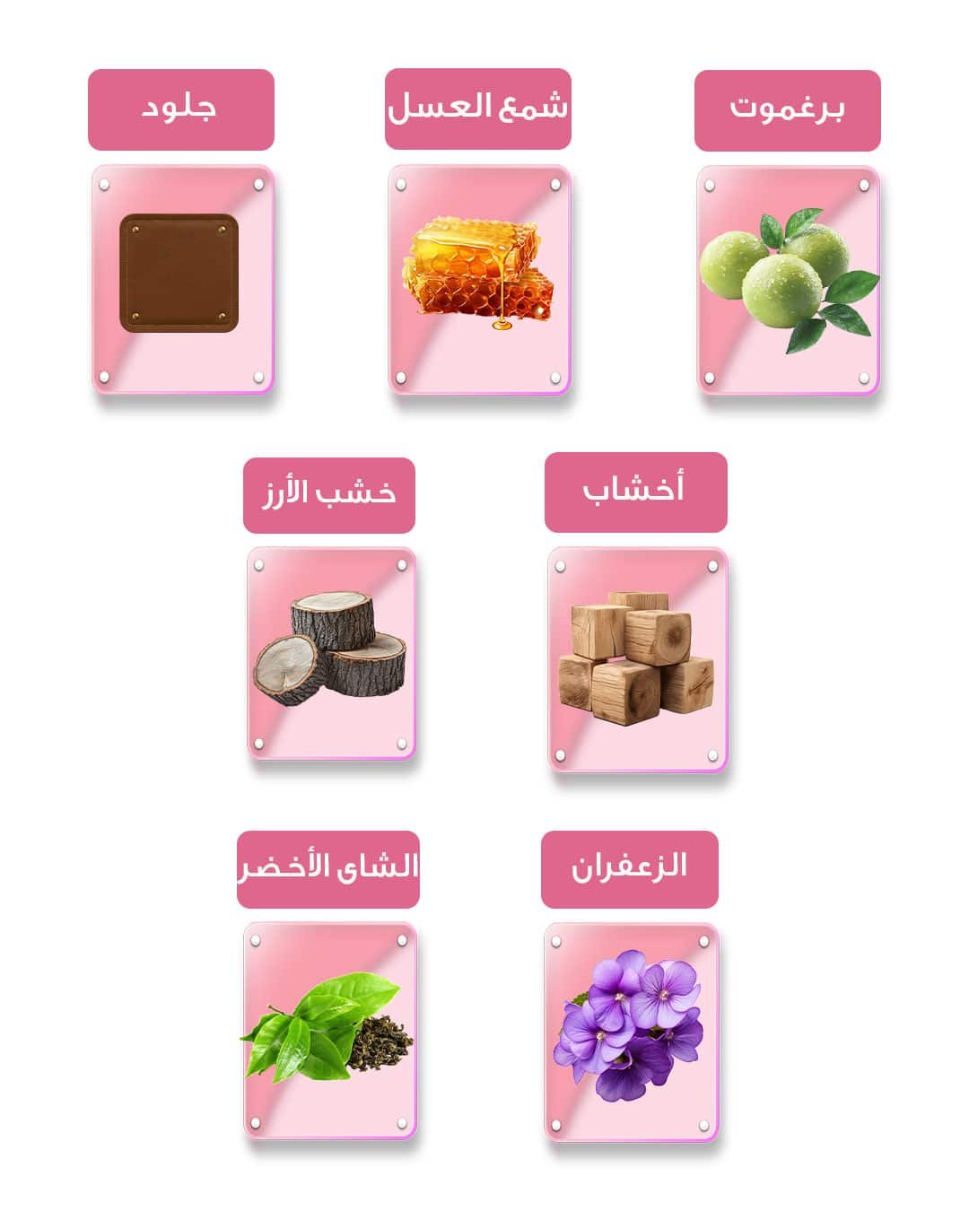 مكونات عطر عرش50مل الرجالي – تصميم يبرز تفاصيل العطر من عرش العود في سلطنة عمان